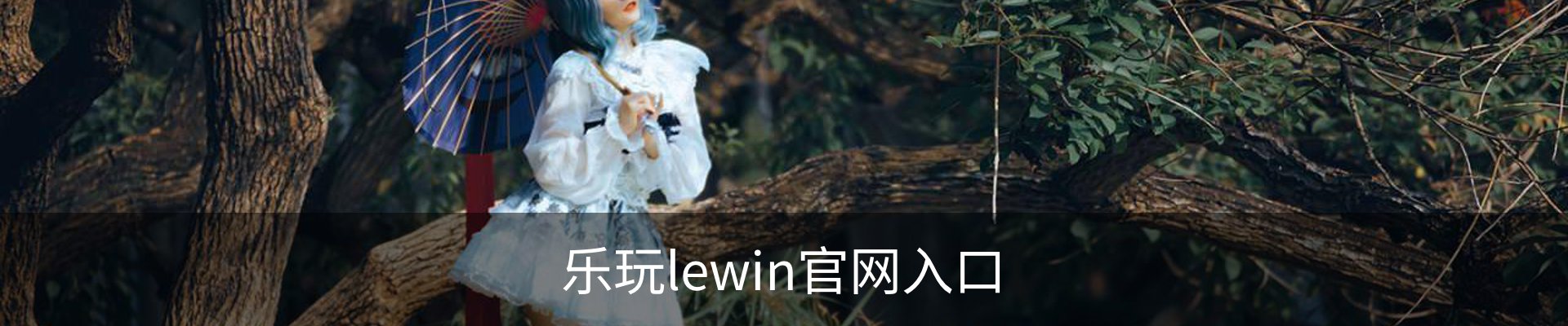 乐玩lewin官网入口